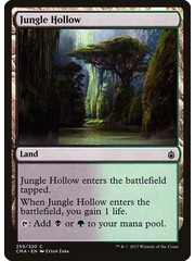 Magic: The Gathering Jungle Hollow (259) Moderately Played