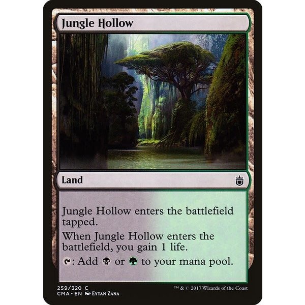 Magic: The Gathering Jungle Hollow (259) Moderately Played