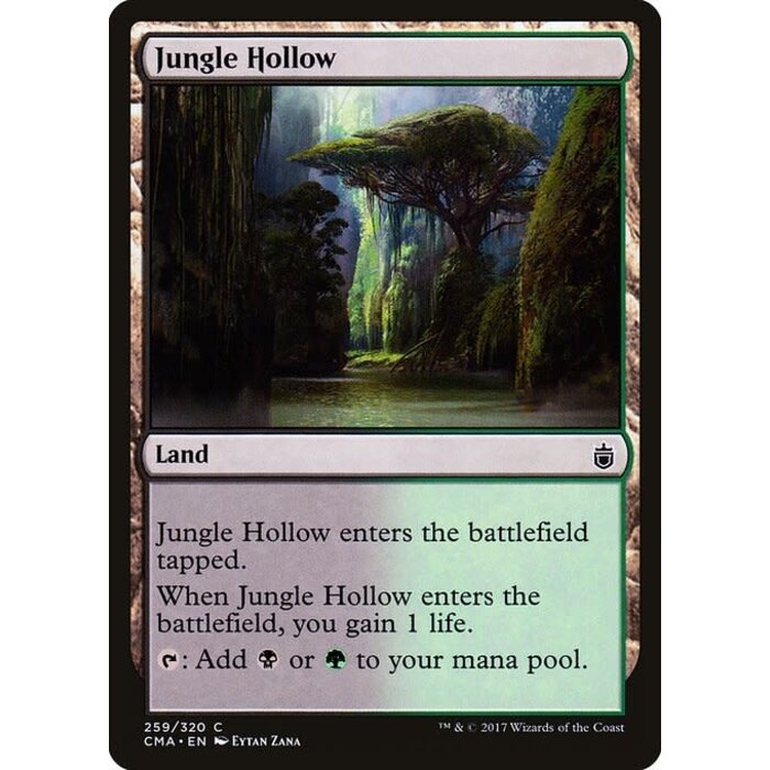 Magic: The Gathering Jungle Hollow (259) Moderately Played