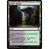 Magic: The Gathering Jungle Hollow (259) Moderately Played