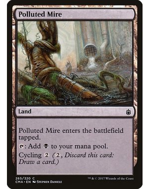 Magic: The Gathering Polluted Mire (265) Moderately Played