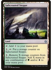 Magic: The Gathering Saltcrusted Steppe (268) Moderately Played