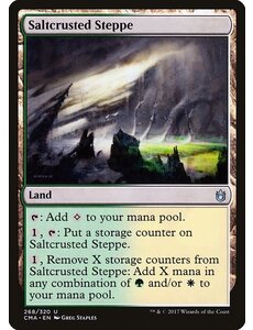 Magic: The Gathering Saltcrusted Steppe (268) Moderately Played