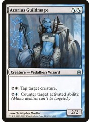 Magic: The Gathering Azorius Guildmage (183) Heavily Played