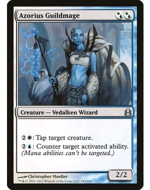 Magic: The Gathering Azorius Guildmage (183) Heavily Played