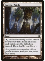 Magic: The Gathering Evolving Wilds (272) Lightly Played