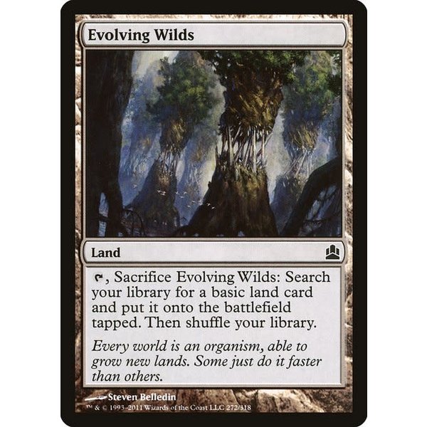 Magic: The Gathering Evolving Wilds (272) Lightly Played