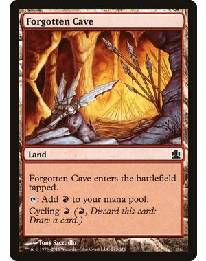 Magic: The Gathering Forgotten Cave (273) Lightly Played