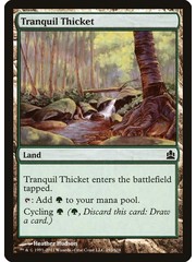 Magic: The Gathering Tranquil Thicket (292) Lightly Played