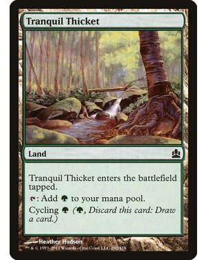 Magic: The Gathering Tranquil Thicket (292) Lightly Played