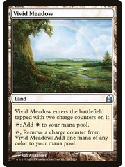 Magic: The Gathering Vivid Meadow (297) Moderately Played