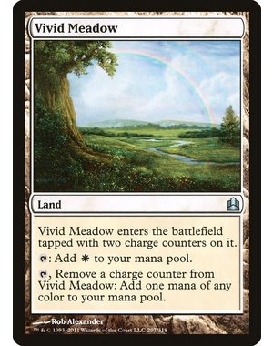 Magic: The Gathering Vivid Meadow (297) Moderately Played