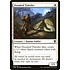 Magic: The Gathering Doomed Traveler (019) Near Mint Foil