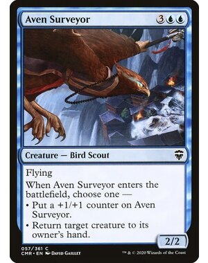 Magic: The Gathering Aven Surveyor (057) Near Mint