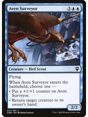 Magic: The Gathering Aven Surveyor (057) Near Mint Foil