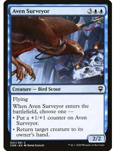 Magic: The Gathering Aven Surveyor (057) Near Mint Foil
