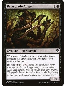 Magic: The Gathering Briarblade Adept (111) Near Mint Foil