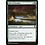 Magic: The Gathering Gift of Paradise (229) Near Mint Foil