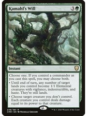 Magic: The Gathering Kamahl's Will (238) Near Mint