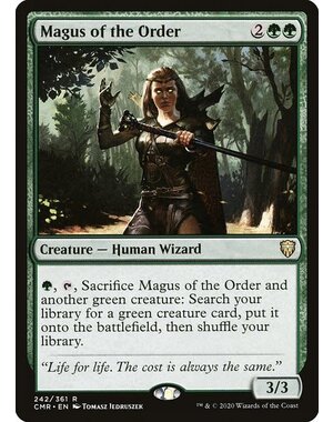 Magic: The Gathering Magus of the Order (242) Near Mint