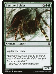 Magic: The Gathering Sentinel Spider (253) Near Mint