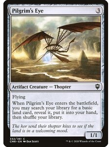 Magic: The Gathering Pilgrim's Eye (332) Near Mint Foil