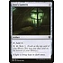 Magic: The Gathering Seer's Lantern (338) Near Mint Foil