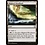 Magic: The Gathering Blighted Woodland (476) Near Mint