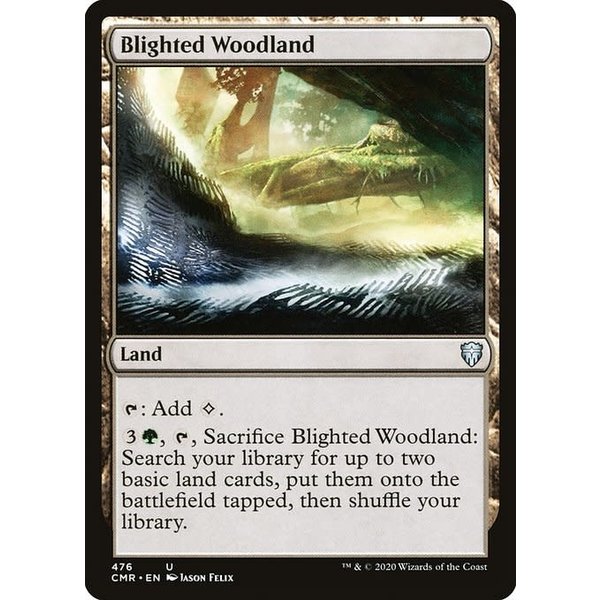 Magic: The Gathering Blighted Woodland (476) Near Mint