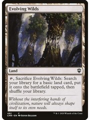 Magic: The Gathering Evolving Wilds (482) Near Mint