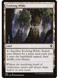 Magic: The Gathering Evolving Wilds (482) Near Mint