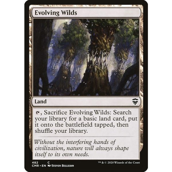 Magic: The Gathering Evolving Wilds (482) Near Mint