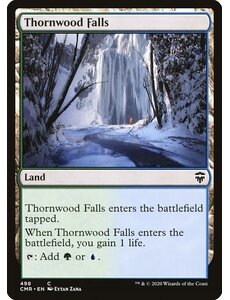 Magic: The Gathering Thornwood Falls (498) Near Mint