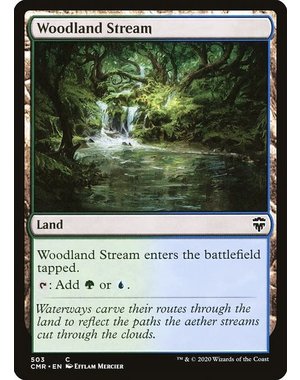 Magic: The Gathering Woodland Stream (503) Near Mint