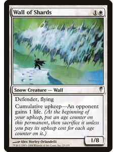 Magic: The Gathering Wall of Shards (023) Lightly Played Foil