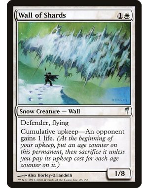 Magic: The Gathering Wall of Shards (023) Lightly Played Foil