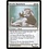 Magic: The Gathering Woolly Razorback (025) Heavily Played
