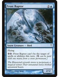 Magic: The Gathering Frost Raptor (034) Damaged