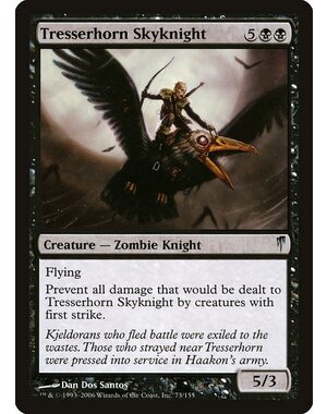 Magic: The Gathering Tresserhorn Skyknight (073) Heavily Played
