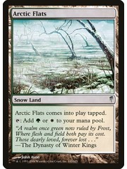 Magic: The Gathering Arctic Flats (143) Moderately Played