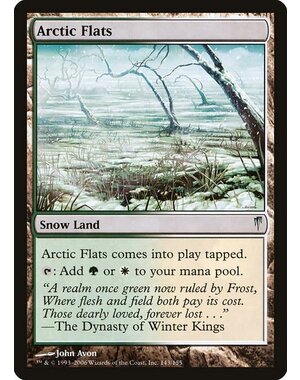 Magic: The Gathering Arctic Flats (143) Moderately Played