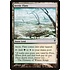 Magic: The Gathering Arctic Flats (143) Moderately Played