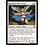 Magic: The Gathering Kjeldoran Elite Guard (034) Heavily Played