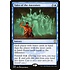 Magic: The Gathering Tales of the Ancestors (008) Lightly Played