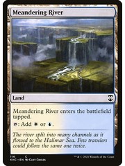 Magic: The Gathering Meandering River (114) Near Mint