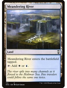 Magic: The Gathering Meandering River (114) Near Mint
