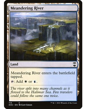 Magic: The Gathering Meandering River (114) Near Mint