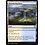 Magic: The Gathering Meandering River (114) Near Mint