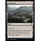 Magic: The Gathering Ash Barrens (386) Near Mint