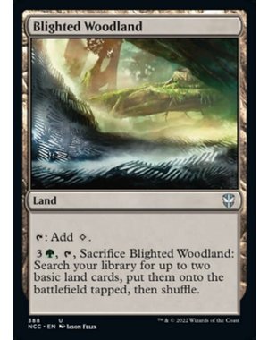 Magic: The Gathering Blighted Woodland (388) Near Mint